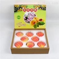 水果礼盒包装 苹果包装箱 CZ-CC002