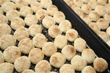 《浙江省食品安全地方標準酥餅生產衛生規范》正式實施