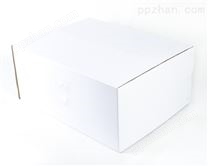 白色单瓦楞纸箱3层