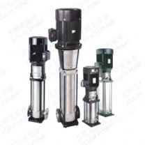 CDLF2-220低流量高扬程水泵