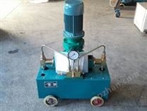 电动立式试压泵2D-SY