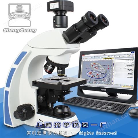 三目生物显微镜 XSP-44X.9(新款)