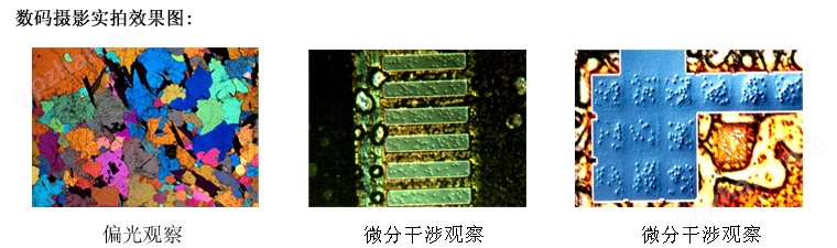 XJL-20DIC倒置微分干涉相衬金相显微镜