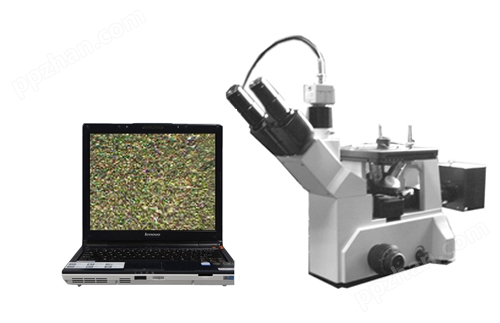XD-8型 视频金相显微镜