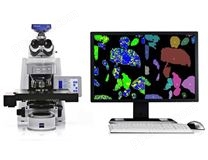 光学显微镜全自动矿物分析系统