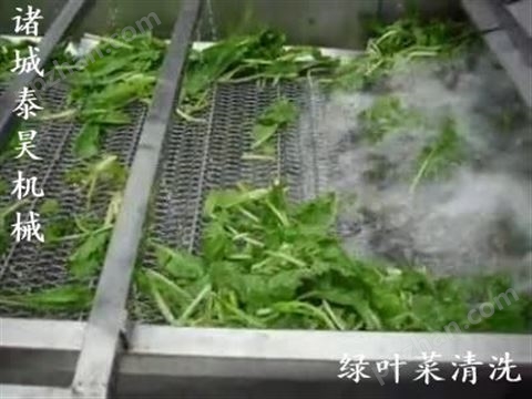 叶类蔬菜气泡清洗机