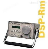DSP Rm便携式数字湿度露点仪