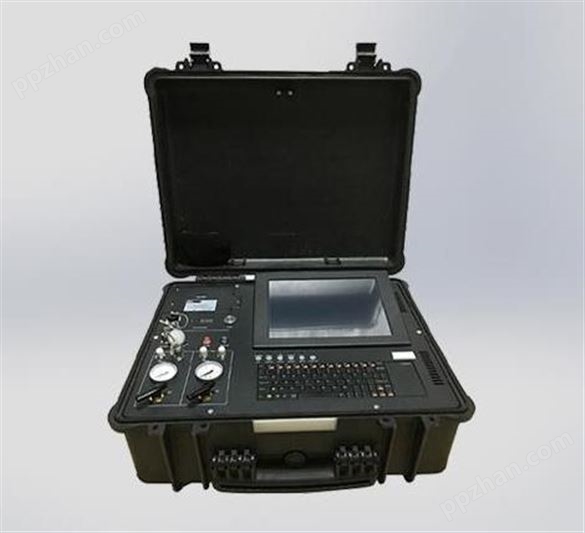 Model3200便携式非甲烷总烃在线分析仪