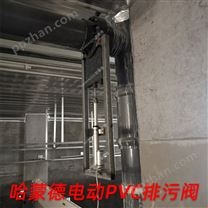 牧原/温氏养猪厂直供 电动PVC排污阀插板阀闸阀塑