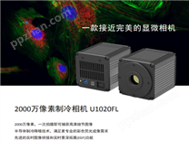 U1020FL低温荧光成像系统