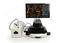 赛默飞EVOS M5000活细胞荧光成像系统