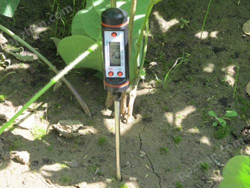 TP101针式土壤温度计