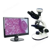 光学显微镜及成像设备2