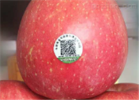 苹果等水果产品质量溯源系统
