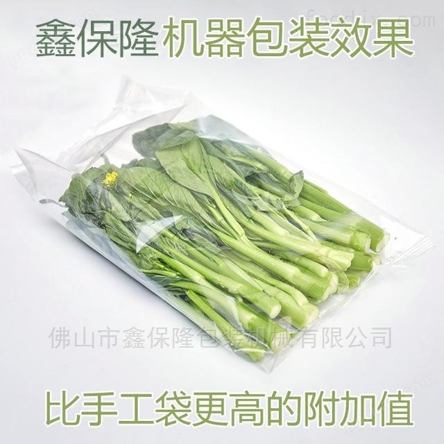 蔬菜多功能枕式包装机哪家好