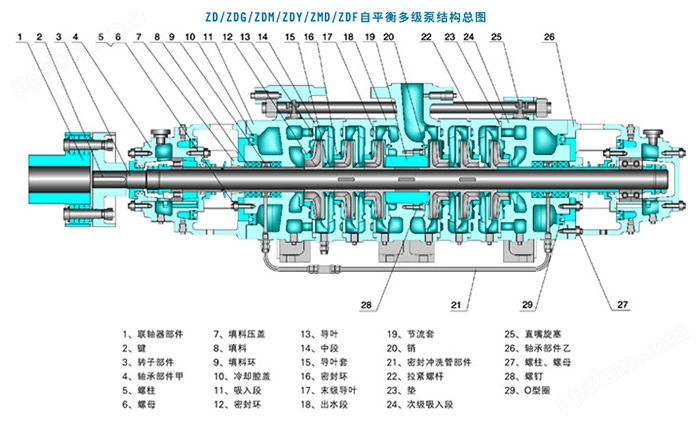 ZDF46-50耐腐蚀自平衡多级泵结构图