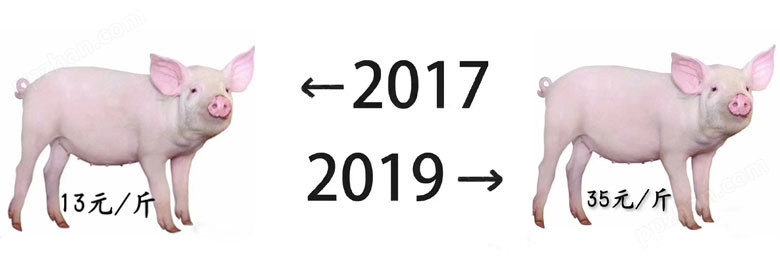 #2017和2019的对比#.jpg