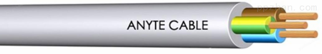 ANYCHAIN-HSCYY101高速柔性拖链电缆